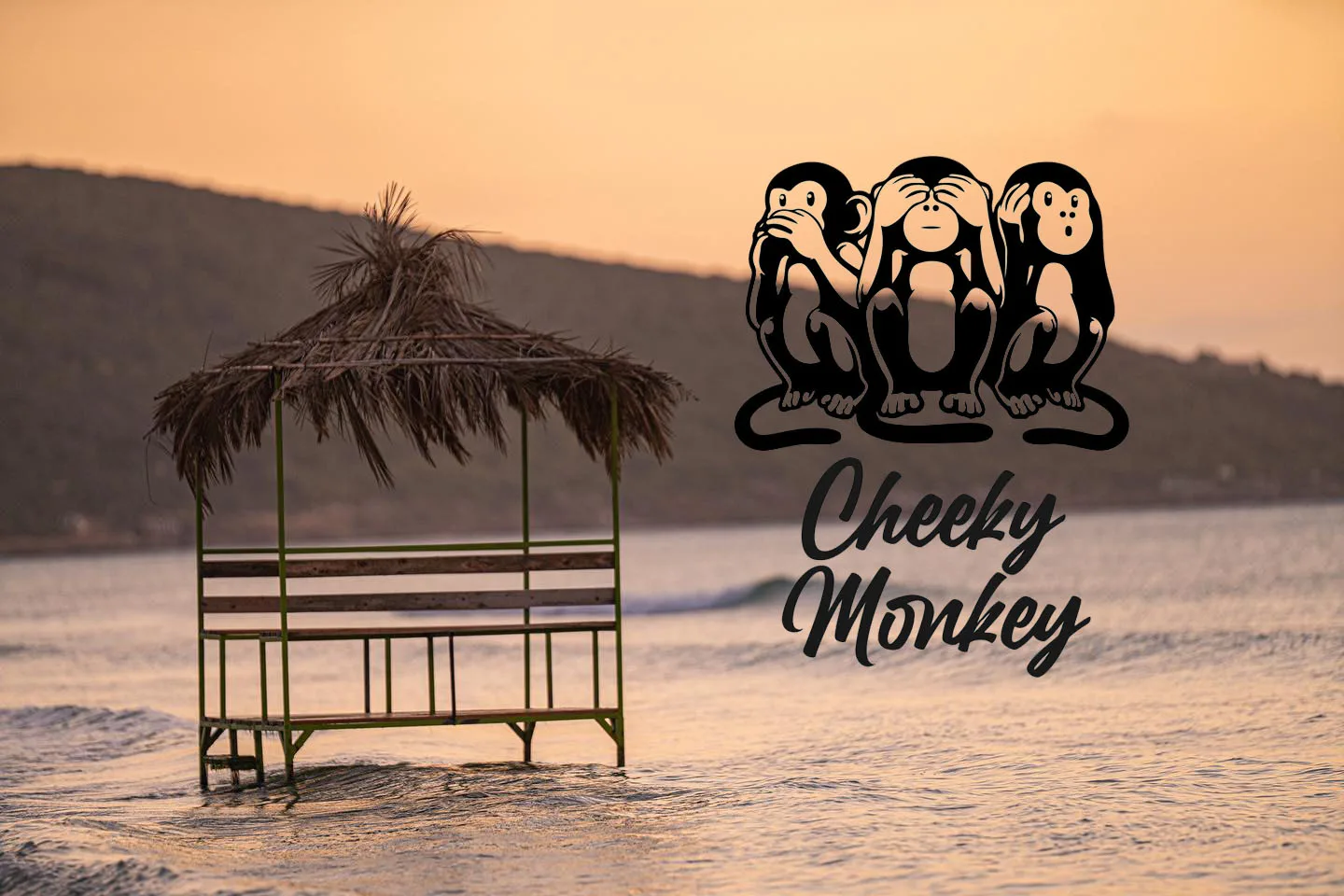 cheekymonkey