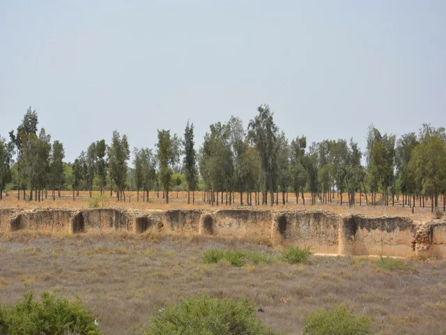 raqqada