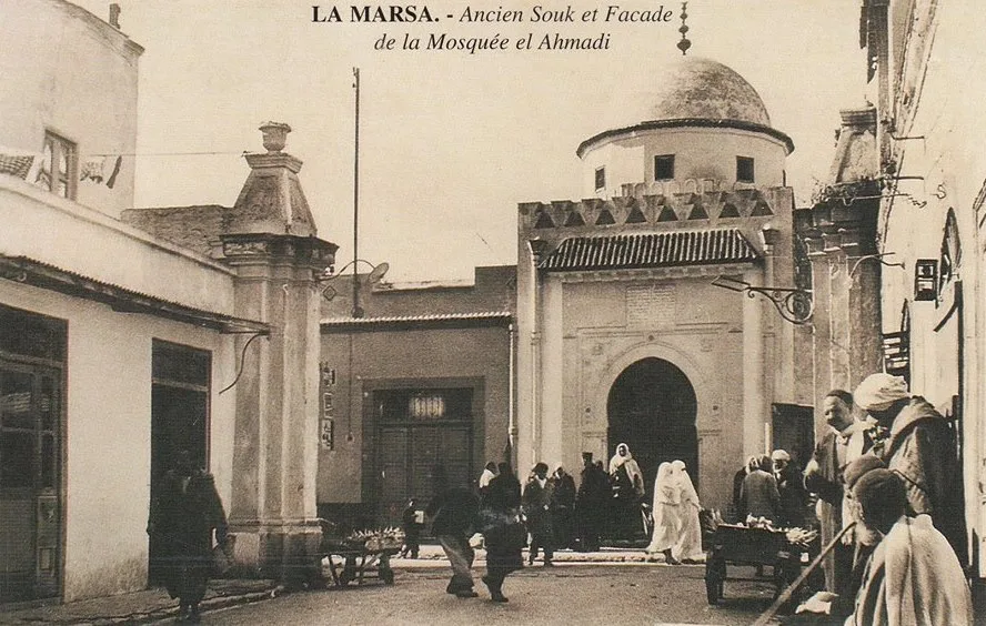 marsa2