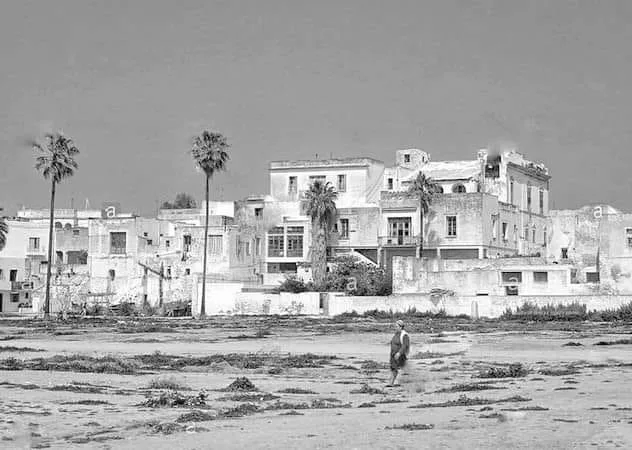 marsa4