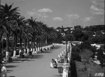 marsa6