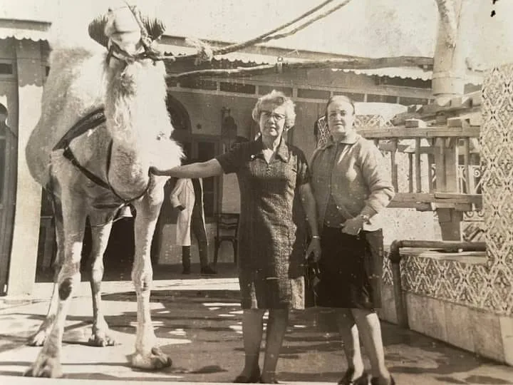marsa7