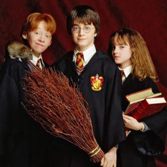 Réalisation documentaire histoire sosie Harry Potter
