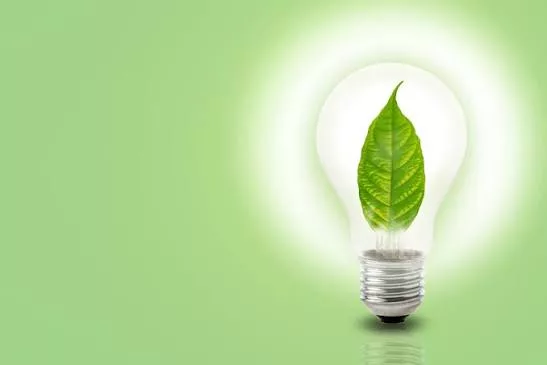 Green Growth Accelerator : 25 startups et PME tunisiennes recherchées pour la 6e cohorte