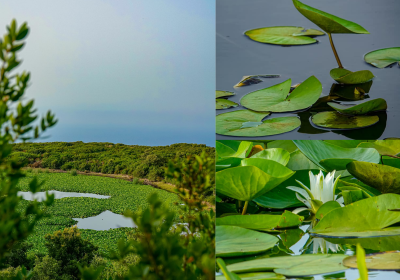 Photos : découvrez la beauté du parc national de Jebel Chitana-Cap Négro avec le photographe Houssem Korbosli
