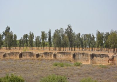 Des preuves historiques, les plus anciennes de l’histoire de l’époque romaine, découverte au Kairouan