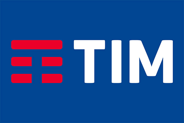 TIM réseau terrestre