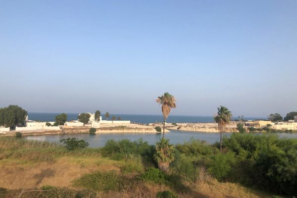 Villa de prestige – Port Punique, Carthage